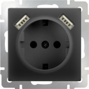 Розетка одинарная с заземлением, шторками и USBх2 СП Werkel черный матовый