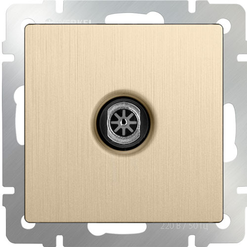 Розетка TV СП Werkel шампань рифленый