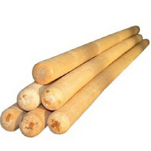 Черенок дерево 25 в/с 1.2 м 