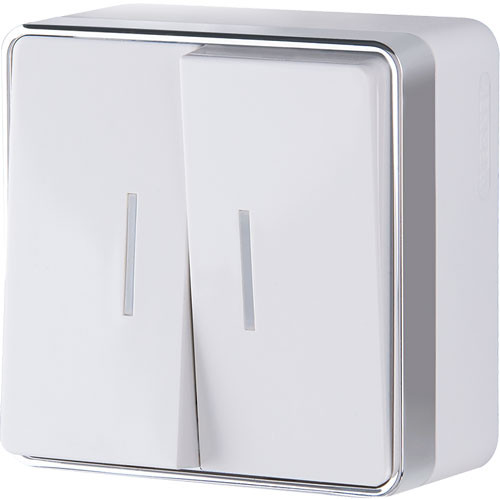 Выключатель двухклавишный с подсветкой ОП Werkel Gallant белый