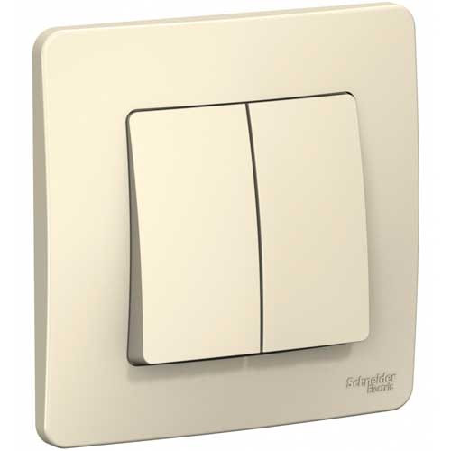 Выключатель двухклавишный СП Schneider Electric Blanca молочный 