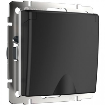 Розетка одинарная с защитной крышкой и заземлением СП Werkel черный матовый